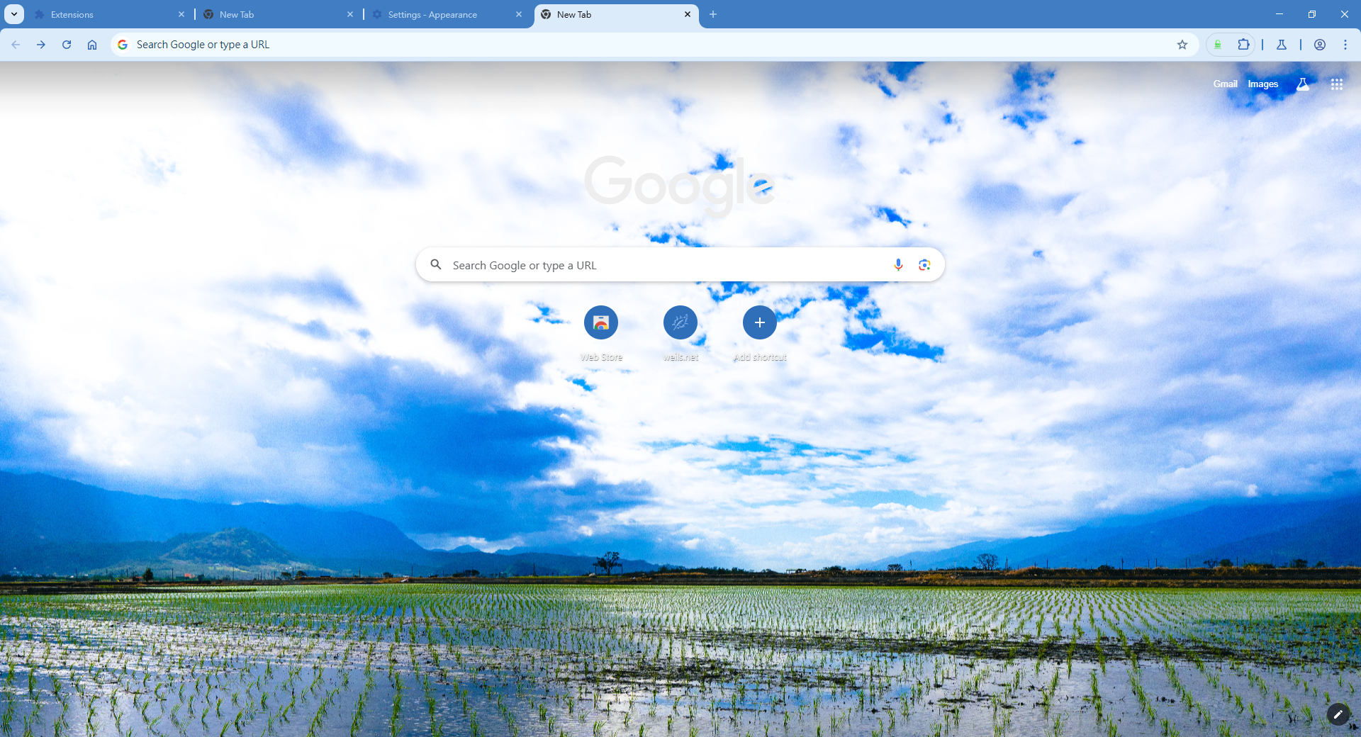 Rice Paddy Reflections